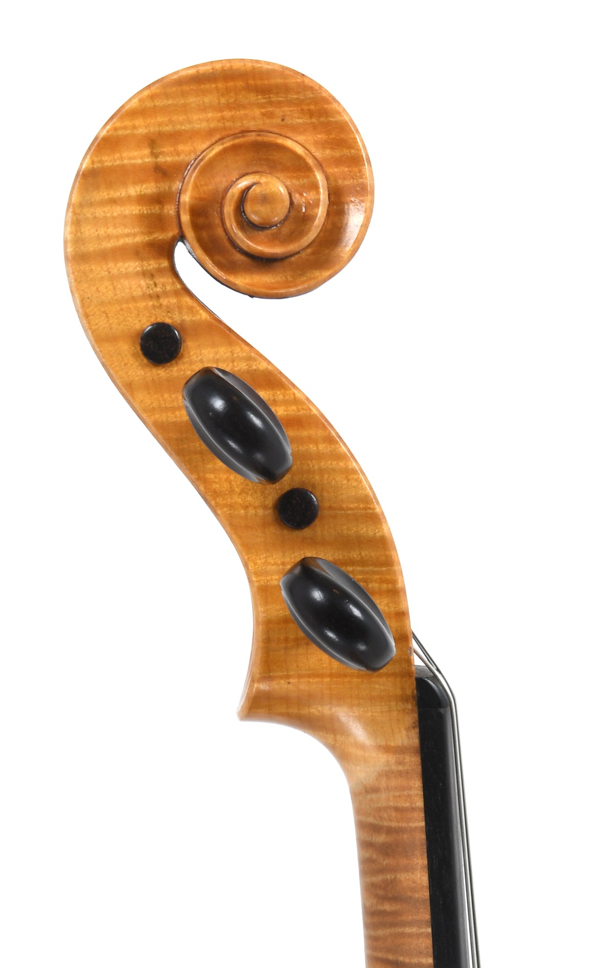 Alto Allemand DE10 (11cm)