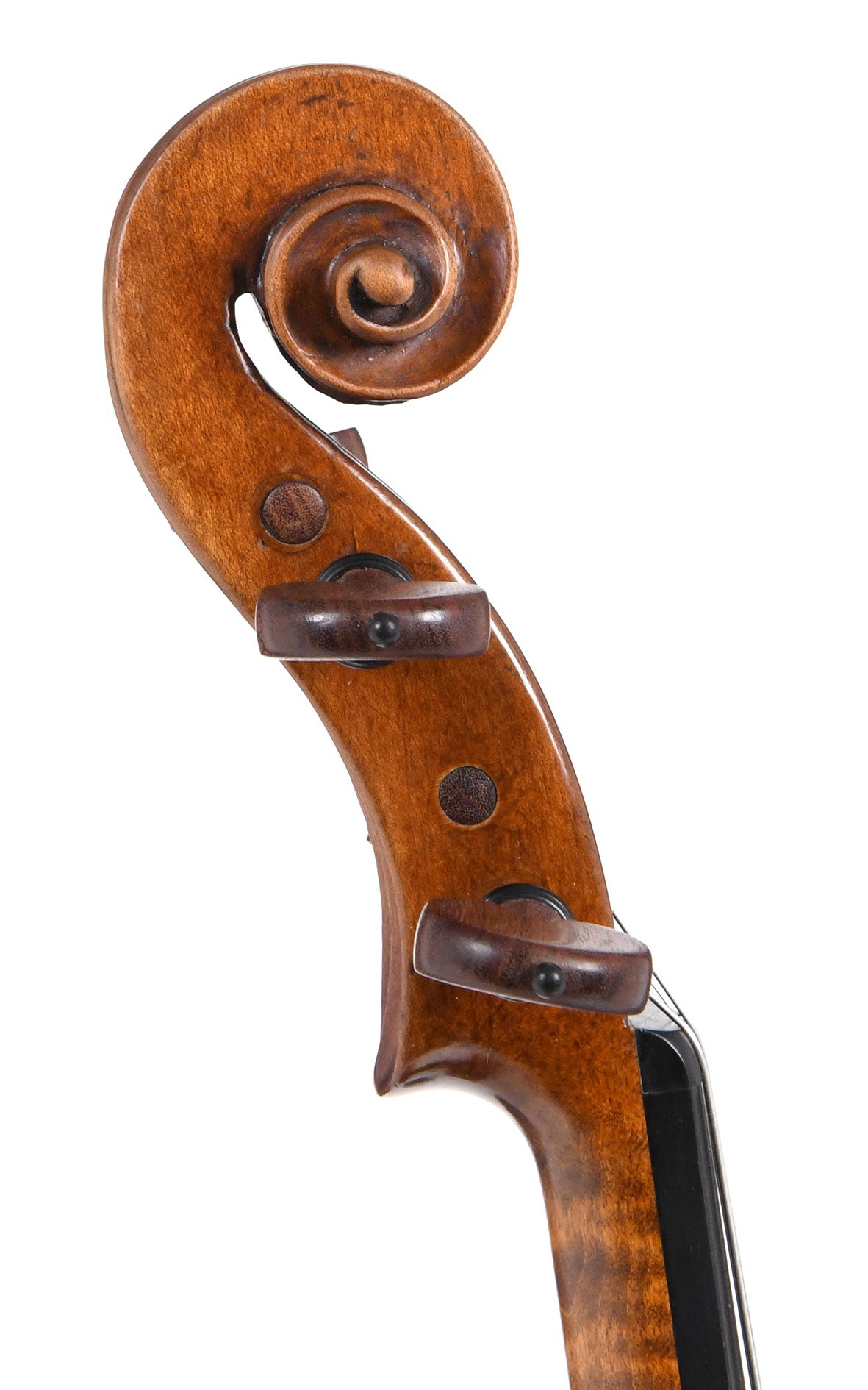Violon IT11 Sirius